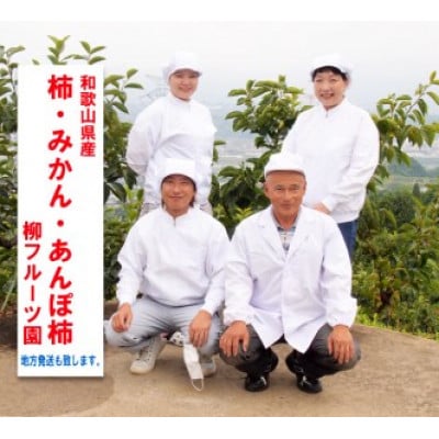 柳フルーツ園の訳ありたねなし柿 約2kg【2025年秋冬配送】