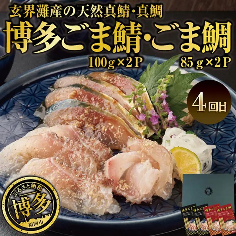 博多うまか 定期便 4回（博多ごま鯖セット/辛子明太子 1本もの/博多もつ鍋3～4人前/博多ごま鯖&ごま鯛） ま鯖 博多 お取り寄せ 天然真鯖 ごま鯖 長浜市場 鮮魚 冷凍 ごまさば 個包装 九州 醤