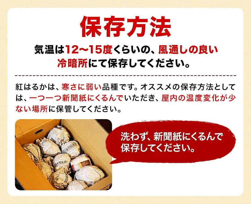【先行予約】タカハマ観光農園 の 紅はるか 約3kg Sサイズ