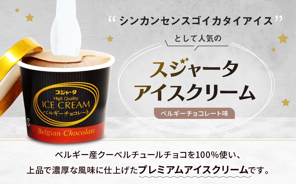 シンカンセンスゴイカタイアイス（ベルギーチョコ）11個入り