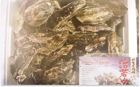 ★先行受付開始！★【2026年発送分】産地直送！岡山県日生産　殻付き牡蠣90個前後（9kg）（2026年1月中旬以降発送）【 全国牡蠣-1グランプリ豊洲2024 加熱部門初代グランプリ受賞！ 牡蠣 9