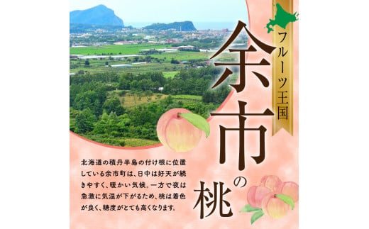 【先行予約：2026年8月中旬以降発送】フルーツ王国余市産「桃」 2kg【ニトリ観光果樹園】_Y074-0145