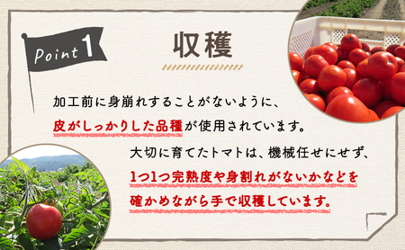 【 3ヵ月 定期便 】ふらの トマト100 160g×30本入　野菜  ジュース  (ジュース 野菜ジュース 飲み物 缶 北海道 送料無料 道産 富良野市 ふらの)