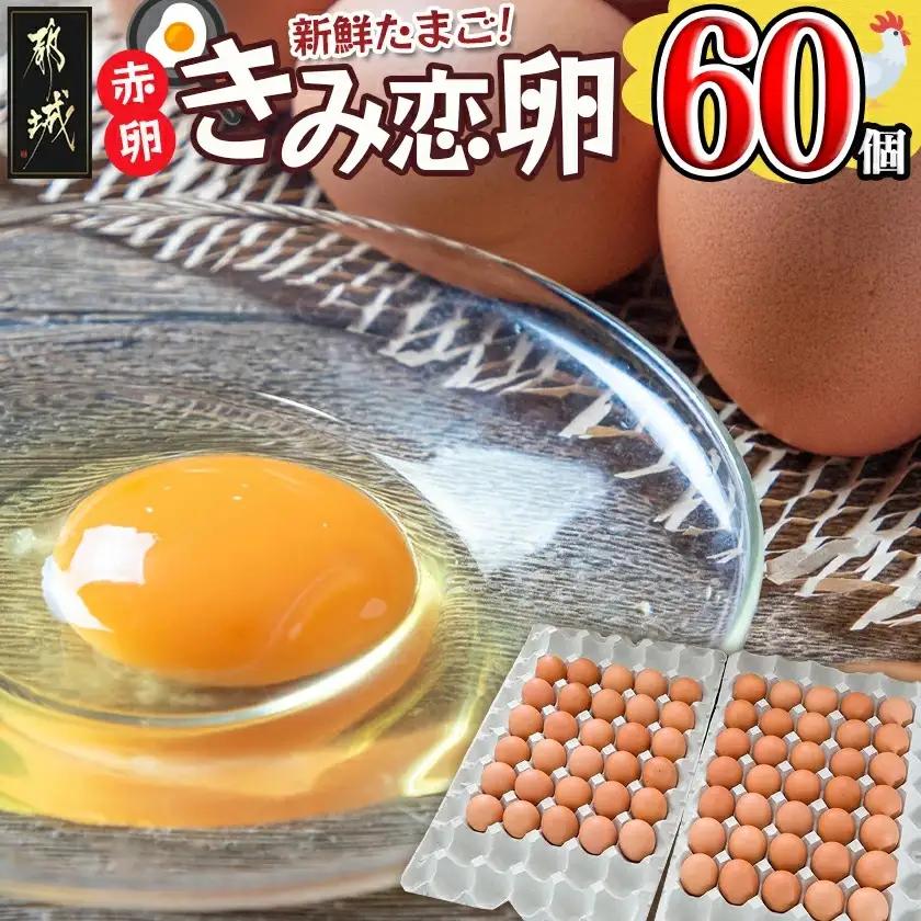 新鮮赤卵「きみ恋卵」60個〔11-29-011-60〕_(都城市) 赤玉子 Mサイズ 60個 きみ恋卵 冷蔵 チルド 赤たまご 河中農園 取れたて新鮮たまご タマゴ たまご 鶏卵 お菓子作りにも最適