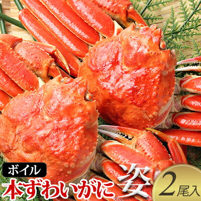 【ふるさと納税】【 カニ 】ボイル 本ずわいがに 姿 2尾入 ＜ マルヤ水産 ＞ かに 蟹 ずわい蟹 ずわいガニ ズワイガニ