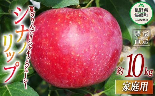 りんご シナノリップ 家庭用 10kg ヤマウラ農園 2025年8月中旬頃から2025年8月下旬頃まで順次発送予定 令和7年度収穫分 信州 果物 フルーツ リンゴ 林檎 長野 26500円 予約 農家直送 長野県 飯綱町 [1571]