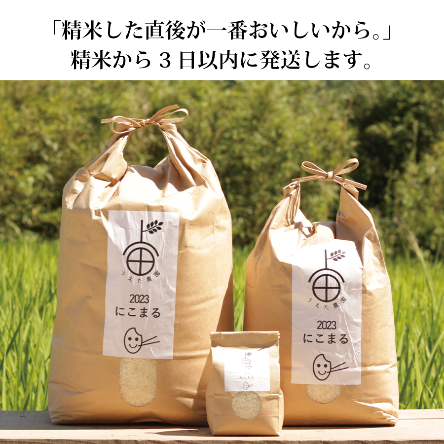 棚田栽培 にこまる 10kg