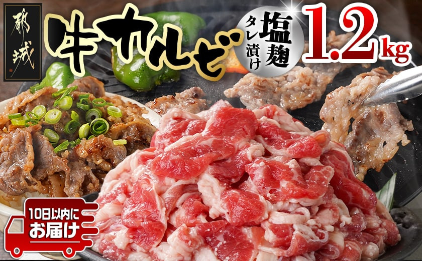 
                  牛カルビ 塩麹タレ漬け1.2kg≪みやこんじょ特急便≫_LG-33-022-1200g-Q_(都城市)  味付き牛カルビ 300g×4パック 真空 小分け 1200g
                