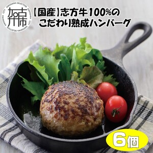 【国産】志方牛100%のこだわり熟成ハンバーグ150g×6個〈ハンバーグ 国産 牛肉 100% 牛 こだわり セット 冷凍 肉 惣菜 お取り寄せ グルメ おかず ギフト 送料無料〉【2401I05941】