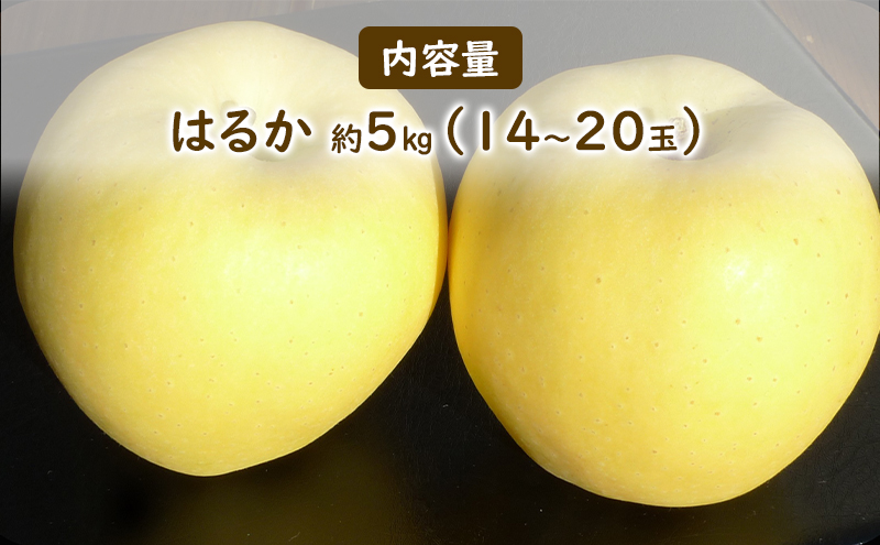 【大櫻農園】はるか 盛岡 完熟 りんご 約5kg（14～20玉 ）