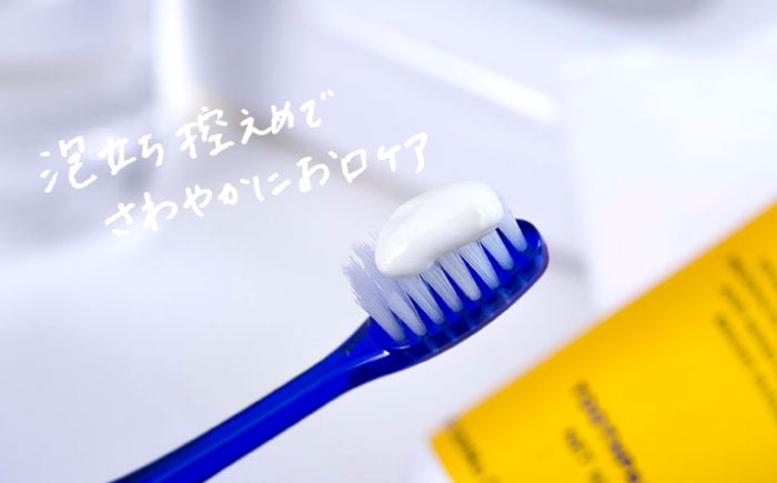 ロブラング歯磨き粉1個+歯ブラシ1本セット ／ デンタルケア オーラルケア 口腔ケア 口腔衛生ケア プレゼント ギフト 日用品 内子町 四国 愛媛県 【昭和刷子株式会社】 [BKAZ005]