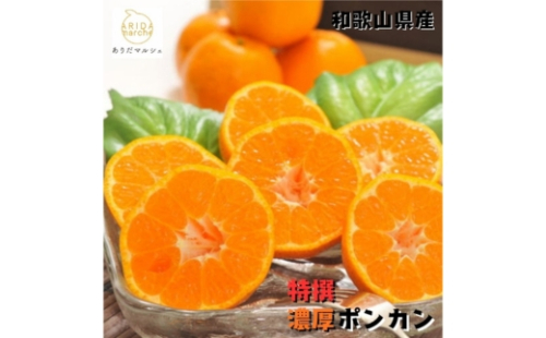 極甘 柑橘 特撰 濃厚 ポンカン 5kg+200g(傷み補償分) ｜ みかん 蜜柑 柑橘 果物 フルーツ くだもの 果実 国産 和歌山県 晩柑