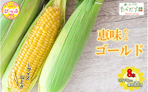 
            【2025年7月下旬頃発送】「恵味ゴールド」 8本 Lサイズ以上 約1.6kg【たかだ畑】めぐみゴールド とうもろこし スイートコーン 産地直送 とうきび BBQ バーベキュー 甘い 北海道 比布町 ぴっぷ 1018-004
          