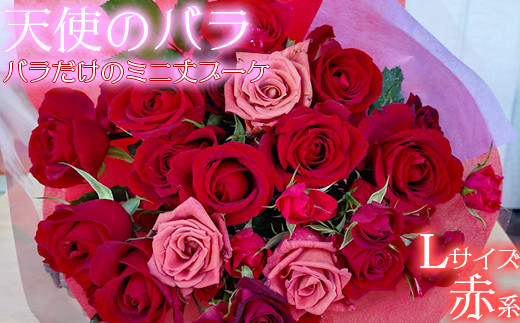 【天使のバラ】薔薇だけのミニ丈ブーケLサイズ（赤系） ＜141-020＞