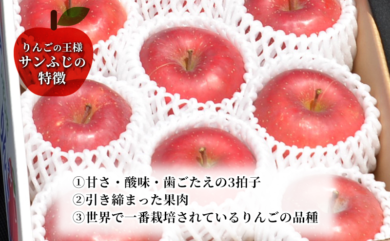 先行予約≪2025年12月初旬～発送≫盛岡ブランド認証『サンふじ』約3kg(家庭用)10玉前後 果物類 林檎 りんご リンゴ