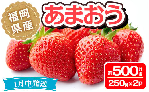 
＜先行予約受付中！2025年1月中に発送予定＞福岡県産 あまおう(計約500g・250g×2P)いちご 苺 フルーツ 果物 くだもの 冷蔵 ＜離島配送不可＞【ksg1489】【くまふる春日】
