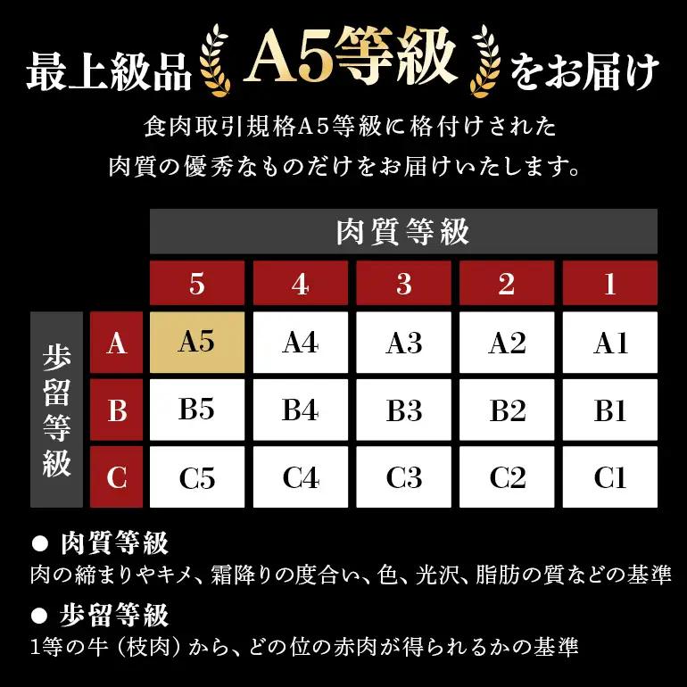 牛肉 すき焼き 飛騨牛 カタロース 定期便 1kg 5回 選べる 配達日