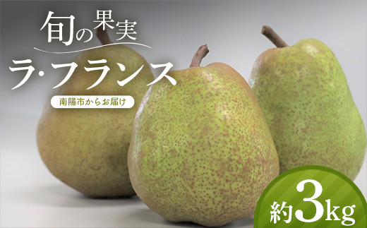 【令和7年産先行予約】 十三代目 佐藤市右衛門 ラ・フランス 約3kg (10～12玉 秀) 《令和7年11月上旬～発送》 『旬の果実 佐藤市右衛門農園』 ラフランス 西洋梨 洋なし 果物 フルーツ デザート 山形県 南陽市 [1968]