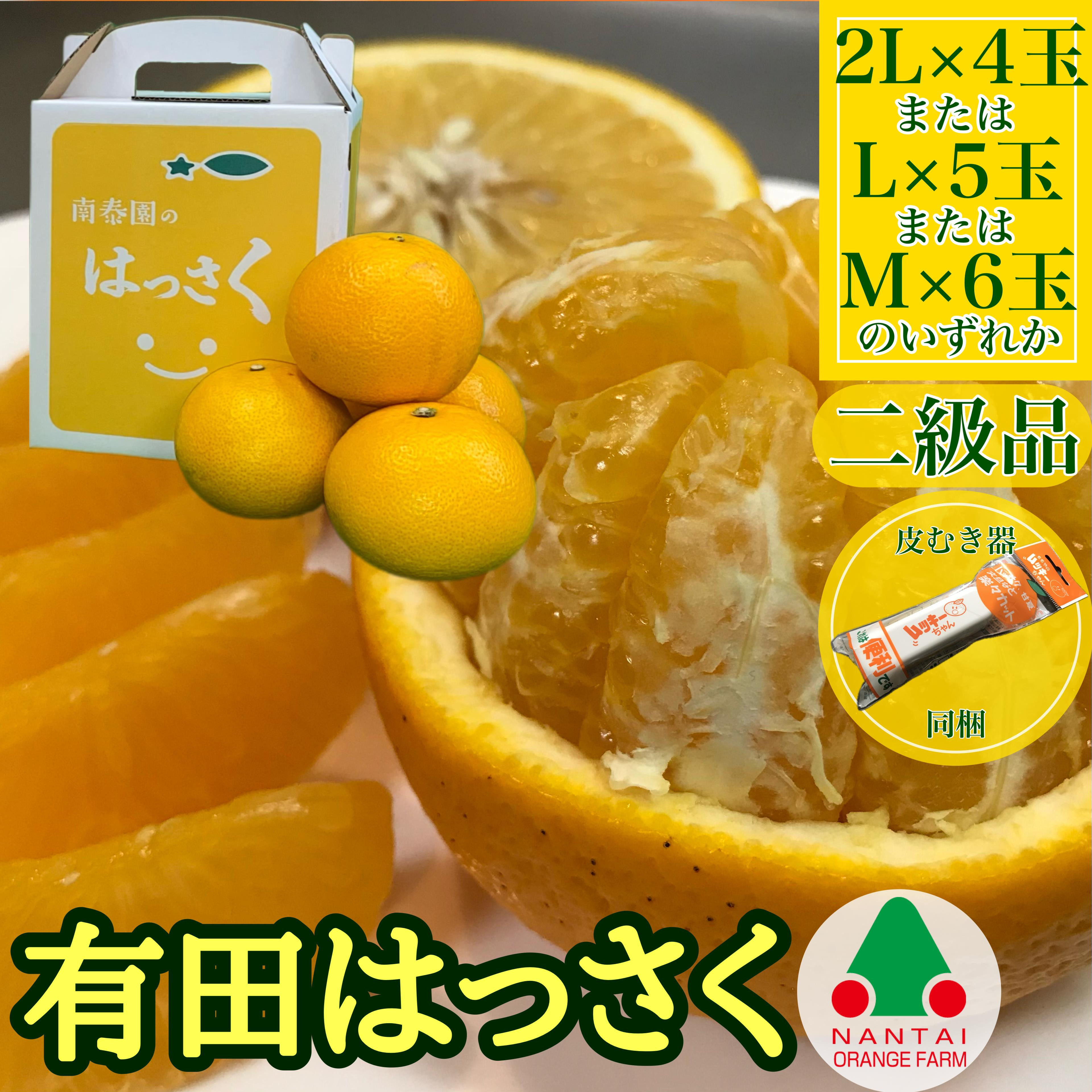 
            ちょっと 傷あり 手さげ箱 有田 はっさく 2L ~ M 4~6玉入 ムッキー 同梱 南泰園 みかん
          