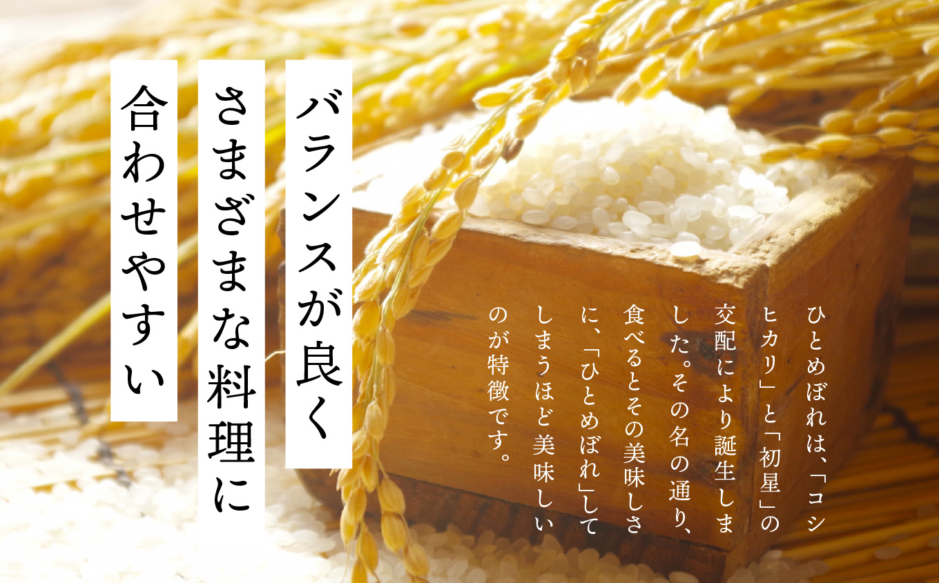 《2025年10月中旬以降順次発送》二本松市産ひとめぼれ10kg【株式会社あだたら米】