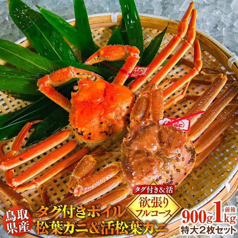 鳥取県産 タグ付き ボイル 松葉ガニと活松葉ガニの欲張りフルコース特大2枚セット (900g～1kg) ※2026年11月上旬～2027年3月下旬頃に順次発送予定 松葉ガニ