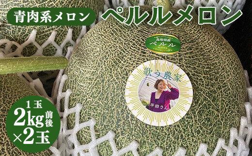 796.【青肉系メロン】ペルルメロン×２玉（1玉2kg前後×2玉） ※離島への配送不可  313726_BQ006-P