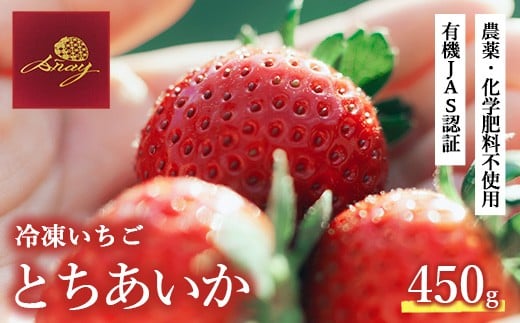 
            冷凍いちご  450g×1
          