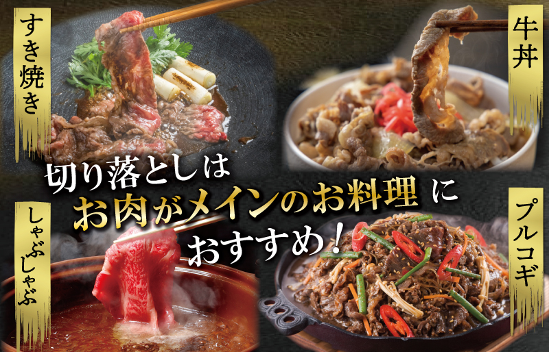 松阪牛 霜降り 切り落とし 1.2kg A5ランク A5等級 国産牛 A5 伊勢屋 牛肉 使いやすい ブランド牛 小間切れ グルメ 冷凍 お取り寄せ 便利 なかお畜産 MA2