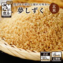 【ふるさと納税】【定期便】お米 6ヶ月定期 夢しずく 玄米 5kg × 6回 計30kg 《6ヶ月連続 毎月お届け》【ふるさと納税 米 定期 お米 玄米 新米 精米 国産 佐賀県 鹿島市 ふるさと 人気 送料無料】 F-31