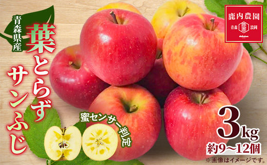 【甘くてみずみずしい】 りんご 葉取らずふじ 蜜入判定 約3kg (約9～12個) 青森市 産地直送【配送不可地域：離島】