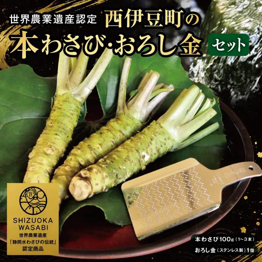 【世界農業遺産認定】西伊豆町の本わさび・おろし金セット（岡原わさび）【12月・1月除く】