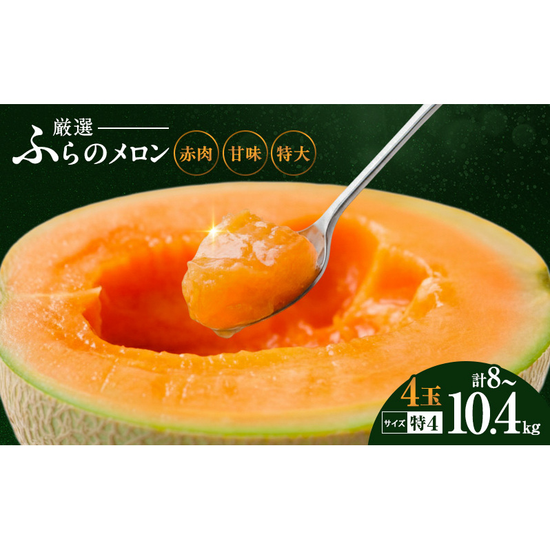 【令和8年産】ふらの 赤肉メロン 厳選 甘味 特4サイズ 2kg～2.6kg 4玉 セット ファーム富良野 メロン めろん 富良野メロン 果物 くだもの フルーツ 富良野 デザート 北海道 先行受付 北海道上富良野町 