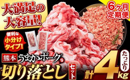 6ヶ月定期便 うまかポーク  約400g×7袋 【切り落とし2.8kg+ミンチ1.2kg】《お申込み月の翌月から出荷開始》---fn_fuptei_23_68000_mo6num1_set---