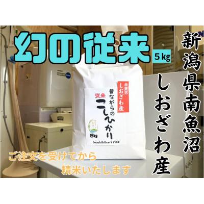 ふるさと納税 南魚沼市 地元の人に愛され続けている昔ながらの従来コシヒカリ 5kg　新潟県南魚沼産