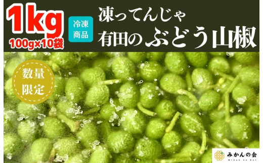 
            【6月下旬出荷予定】冷凍山椒 凍ってんじゃ ぶどう山椒 1kg ( 100g × 10袋 ) 和歌山県産 【みかんの会】
          