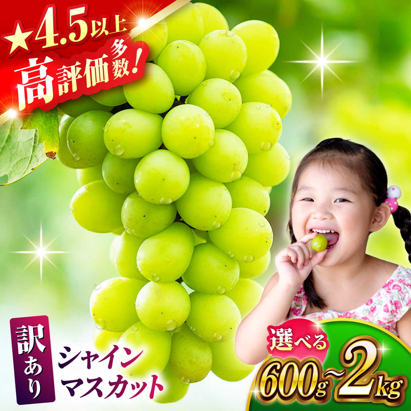 【ふるさと納税】【訳あり】容量選べる シャインマスカット （約600g~2kg）マスカット ブドウ 葡萄 房 国産 熊本県 山鹿 果物 くだもの フルーツ 特産品 甘い 果汁 九州 熊本 熊本県 山鹿 山鹿市 送料無料 1万円 10000円 以下【合同会社 社方園】[ZBZ027]