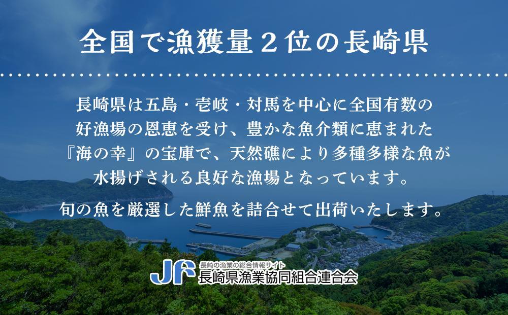 長崎 対馬産 煮あなご 120g×3本 セット 冷凍 真空