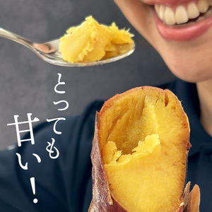FD-1　【数量限定】つけもの屋が焼いた『やきいも』約1kg（漬物付き）