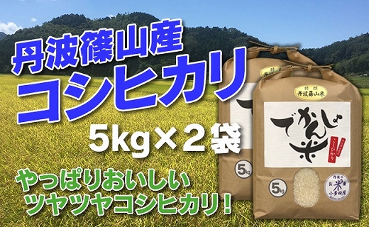 【令和7年産】お米のおいしさ伝えたい！丹波篠山産コシヒカリ5kg×2