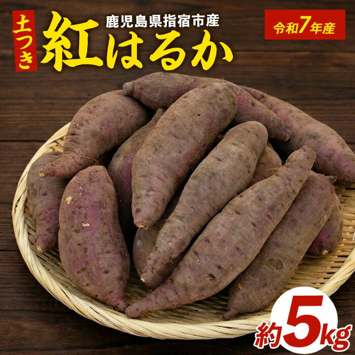 【ふるさと納税】＜先行予約受付中！2025年1月下旬以降順次発送＞糖度抜群あま〜い!「紅はるか芋」(土付き)(約5kg) さつまいも サツマイモ 紅はるか 5kg 焼き芋 やきいも 野菜 旬 大容量 土付き 【岡村商店】