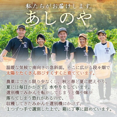 ZE6333n_【2025年先行予約】和歌山有田みかん10kg　2L～4Lサイズ混合 