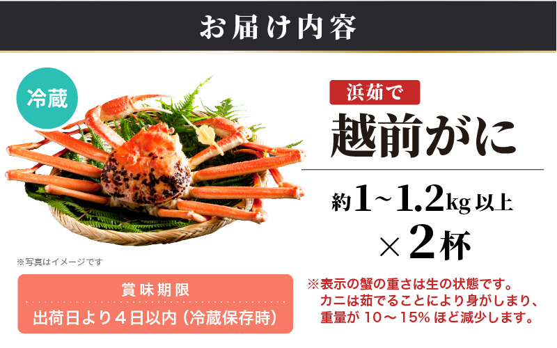 【ANA限定】≪浜茹で≫越前がに 特大サイズ 2杯（生で1杯1kg～1.2kg以上）食べ方しおり付【 雄 ズワイガニ かに カニ 蟹 越前ガニ 姿 ボイル 冷蔵 福井県】【1月発送分】希望日指定可 備