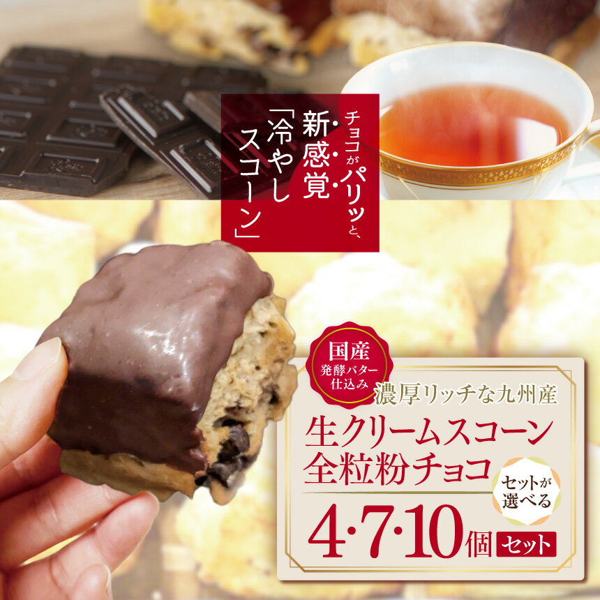 【ふるさと納税】国産発酵バター香る濃厚リッチな九州産生クリームスコーン 全粒粉チョコ 選べる 4個 ～ 10個 セット | お菓子 菓子 おかし 洋菓子 焼き菓子 イギリス菓子 スコーン チョコ 全粒粉 手作り おやつ デザート スイーツ カフェスイーツ 大分県 中津市