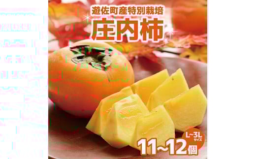 1216　遊佐町産特別栽培庄内柿2.5kg