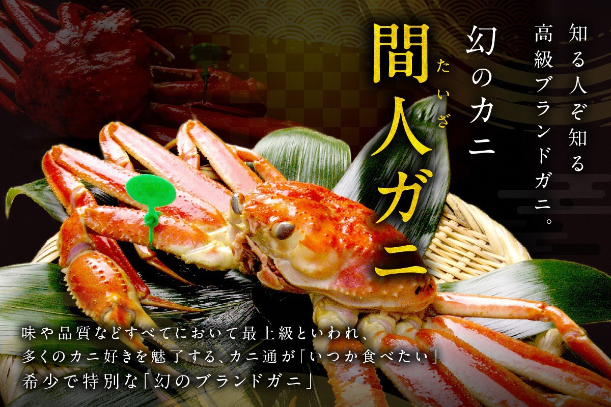 【幻のズワイ蟹】京丹後産 活間人蟹 鮮度抜群、活きたままお届け！！ 800g級×1杯　YK00081