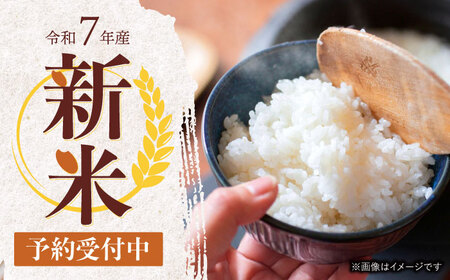 【R7年新米】九州のこだわり玄米食べ比べ (10kg×2) / にこまる ひのひかり 食べ比べ 玄米 げんまい 米 こめ コメ / 諫早市 / 上島農産 [AHAS006] 新米 しんまい