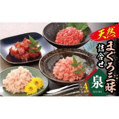 ふるさと納税 横浜市 天然まぐろ三昧詰合せ『泉』(4種類8袋(各60g×2))