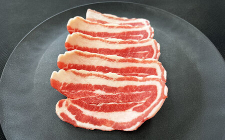 脊振ジビエ（熟成天然いのしし肉）☆ジビエ2種お徳用セット 計1.5kg（ロース肉500g×2・バラ肉500g×1） 吉野ヶ里町 / ジビエの匠[FDO003]