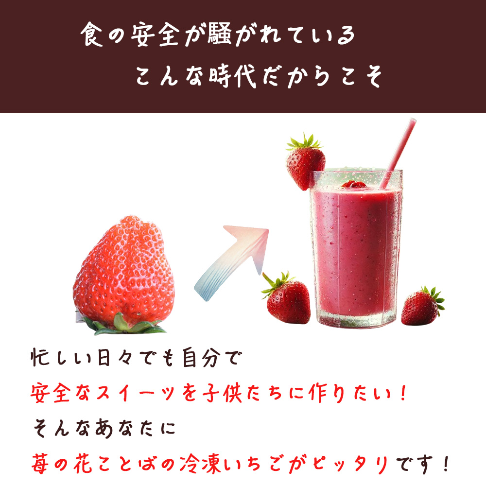 冷凍いちご 越後姫1kg 3ヶ月定期便 冷凍 イチゴ 苺 果物 フル