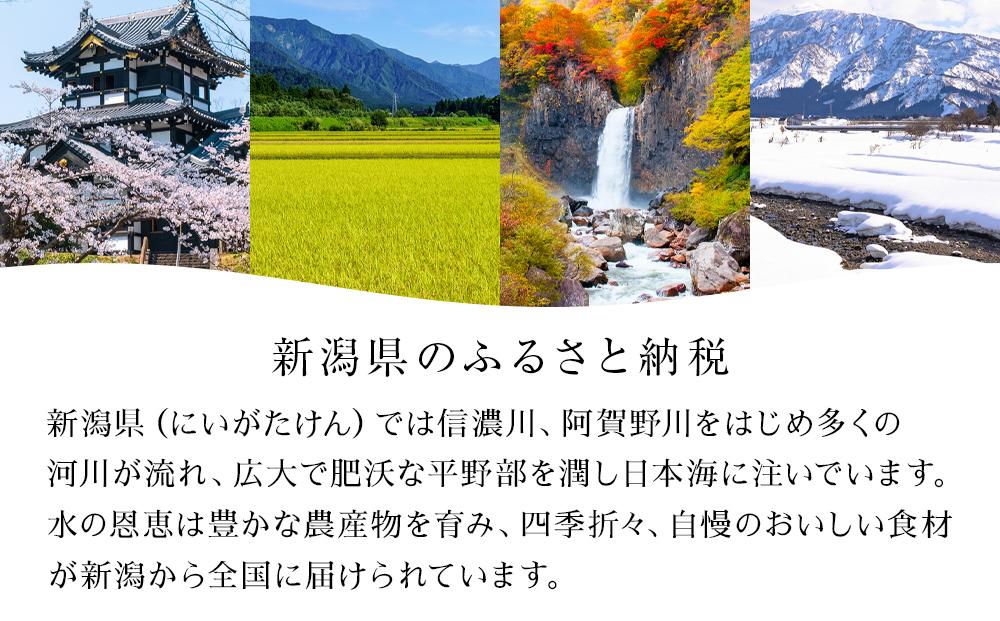 新潟県産小玉スイカ２玉